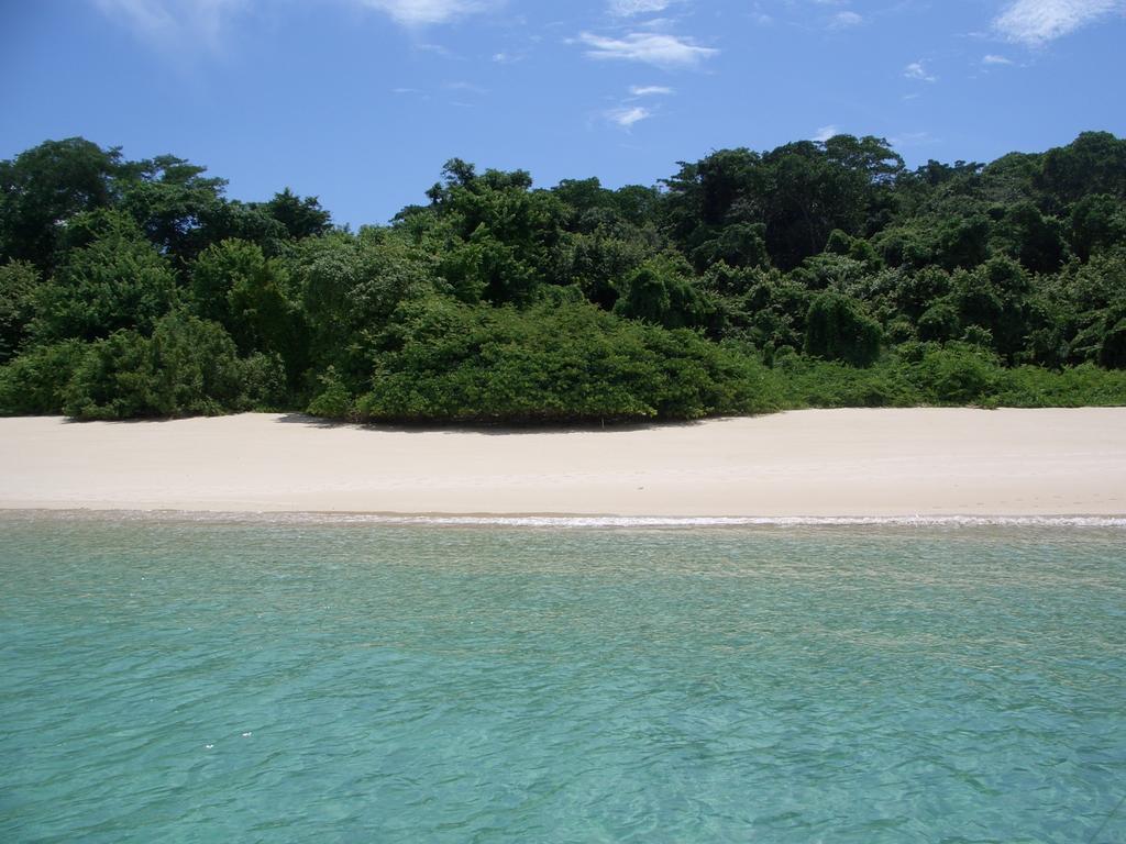 Beautiful Apartment With Terrace Contadora Island الغرفة الصورة